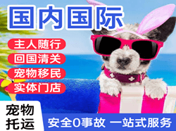 固原六盘山机场物流国际宠物托运 【国